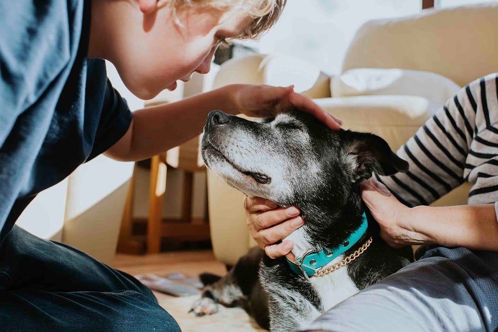 Combien de temps vivent les chiens ? bng2.us